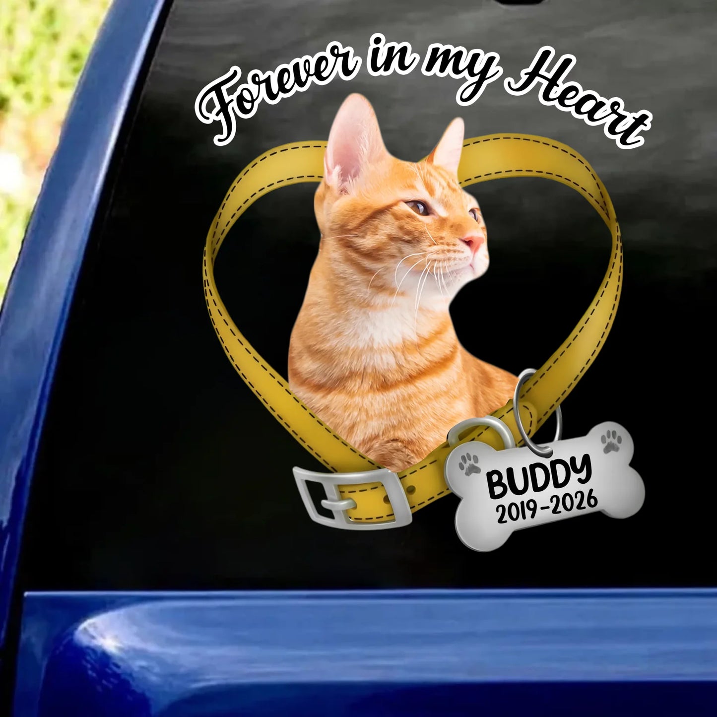 66d7cf4d38bb5_large