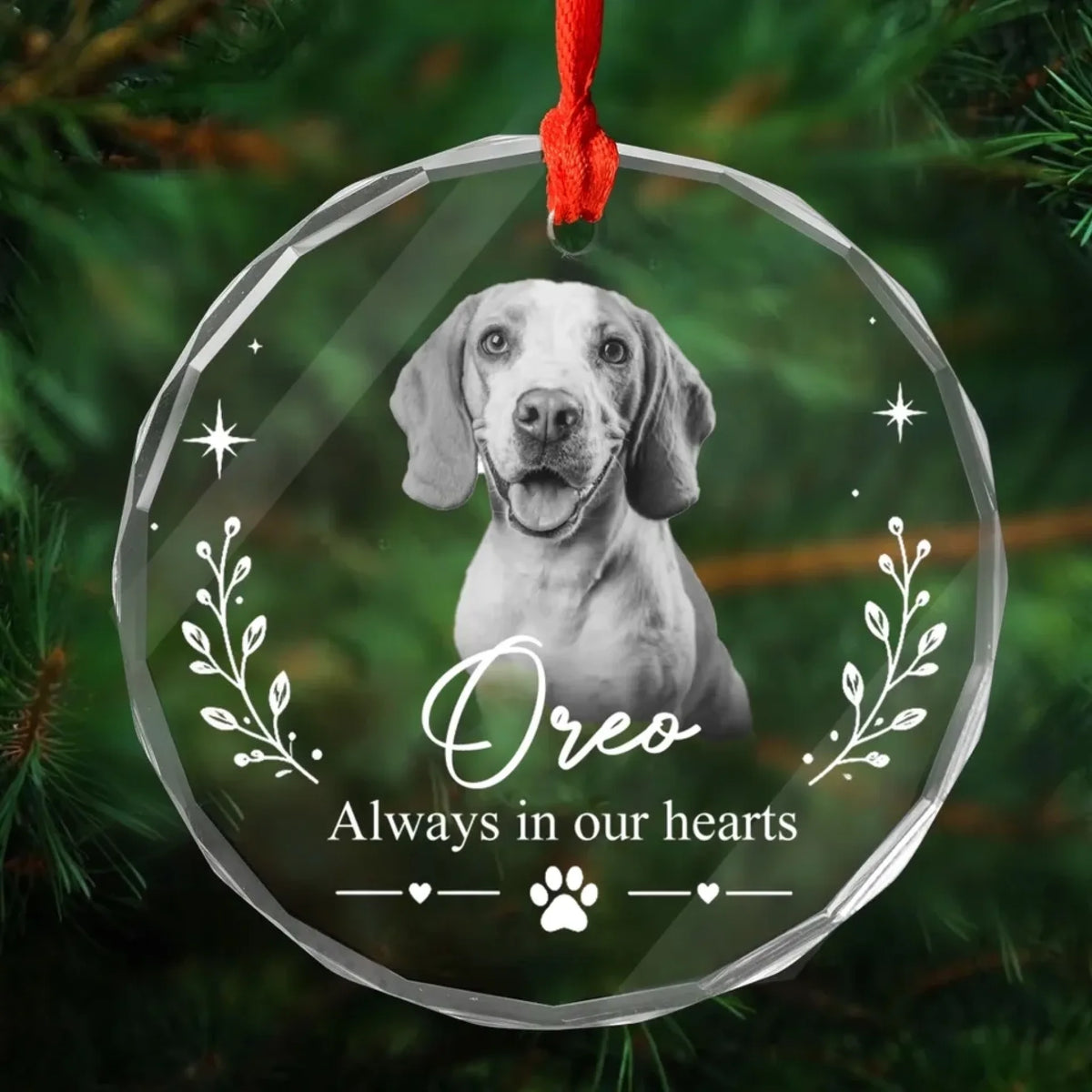 261019_w4JnzaVaVTwlPDMg_large